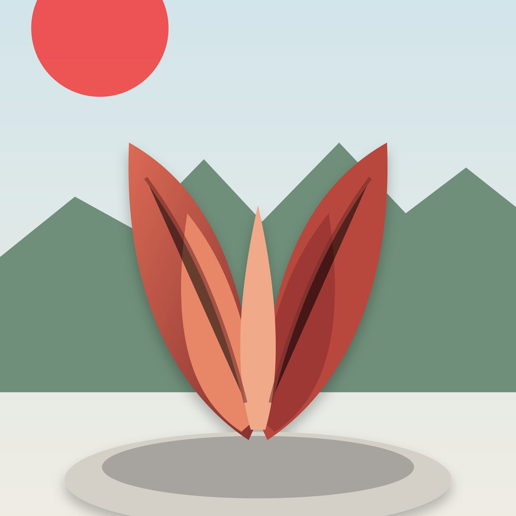 Pakistan Monument Islamabad wall art preview